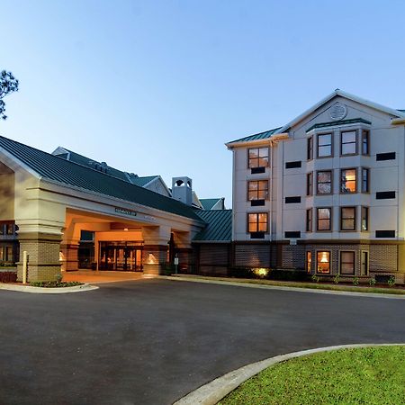 Hampton Inn & Suites Tampa-North Dış mekan fotoğraf