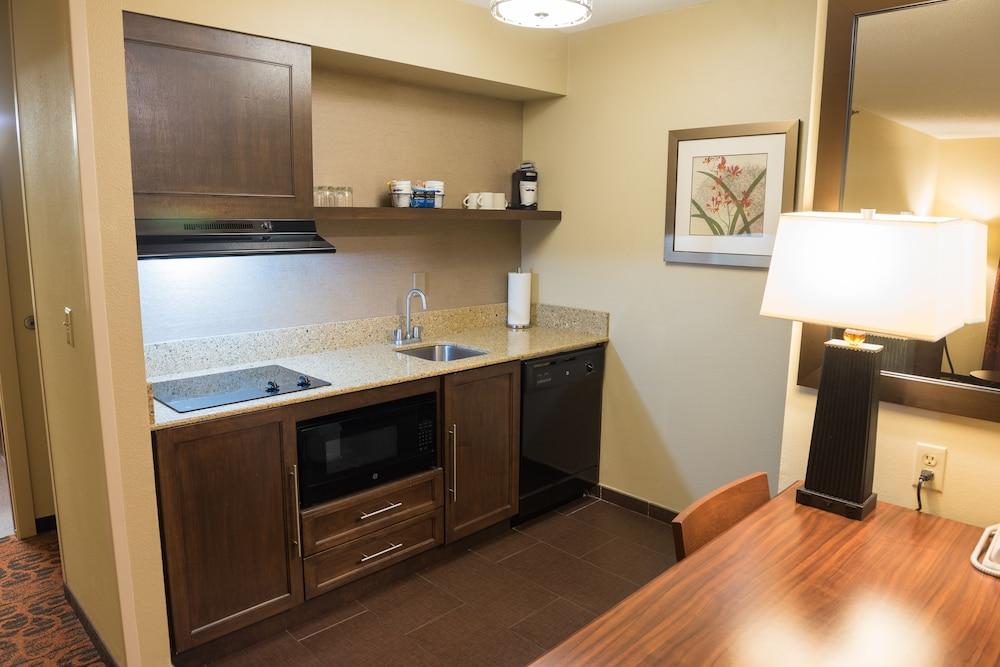 Hampton Inn & Suites Tampa-North Dış mekan fotoğraf