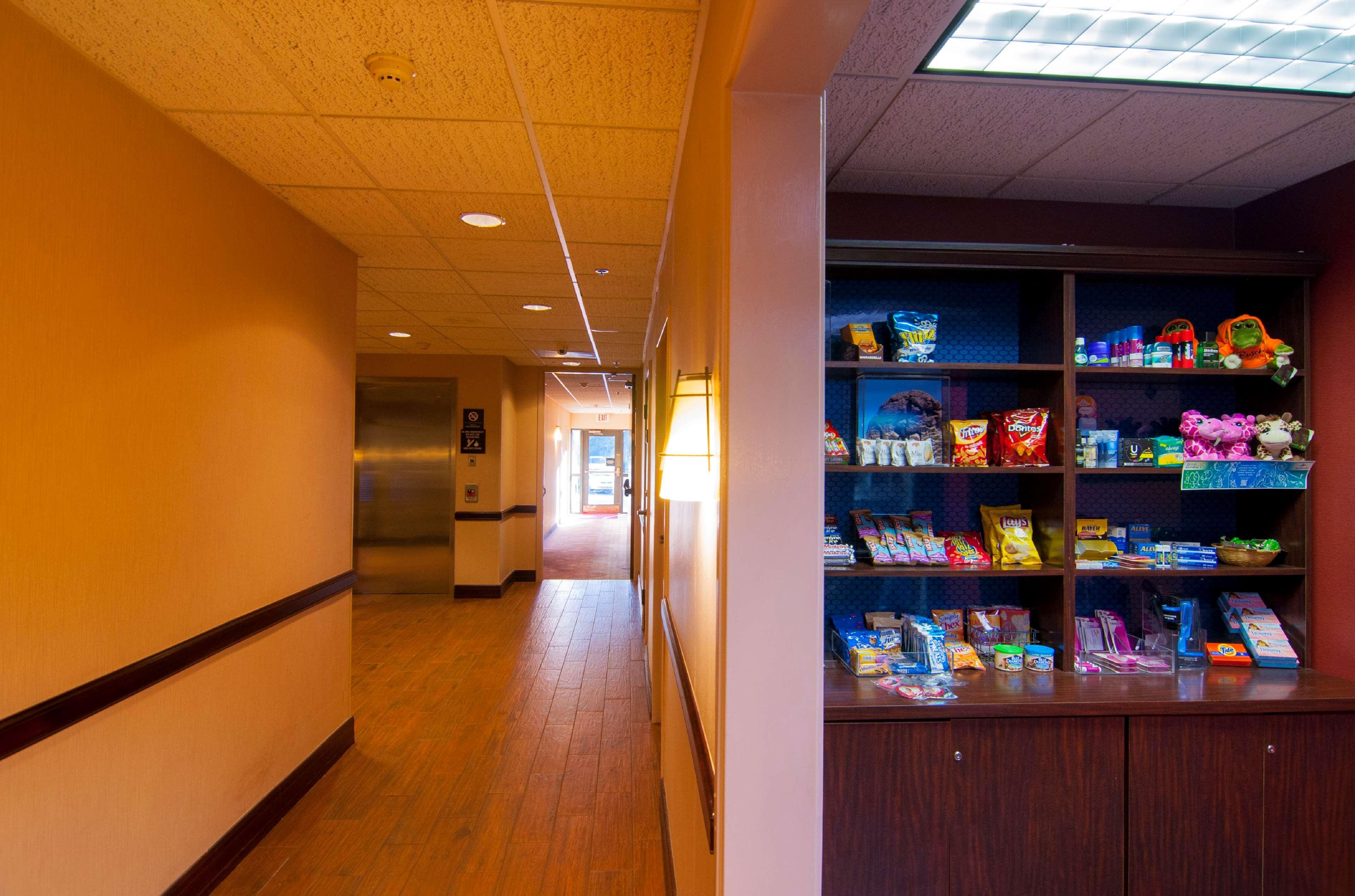 Hampton Inn & Suites Tampa-North Dış mekan fotoğraf