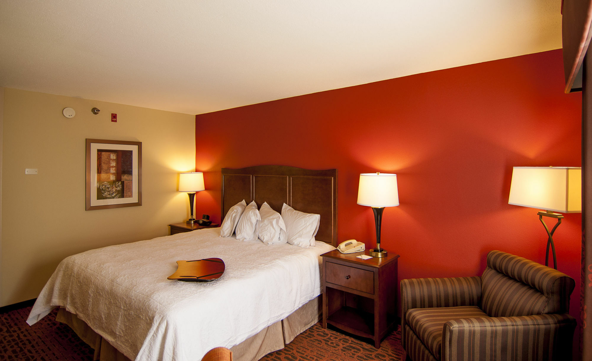 Hampton Inn & Suites Tampa-North Dış mekan fotoğraf